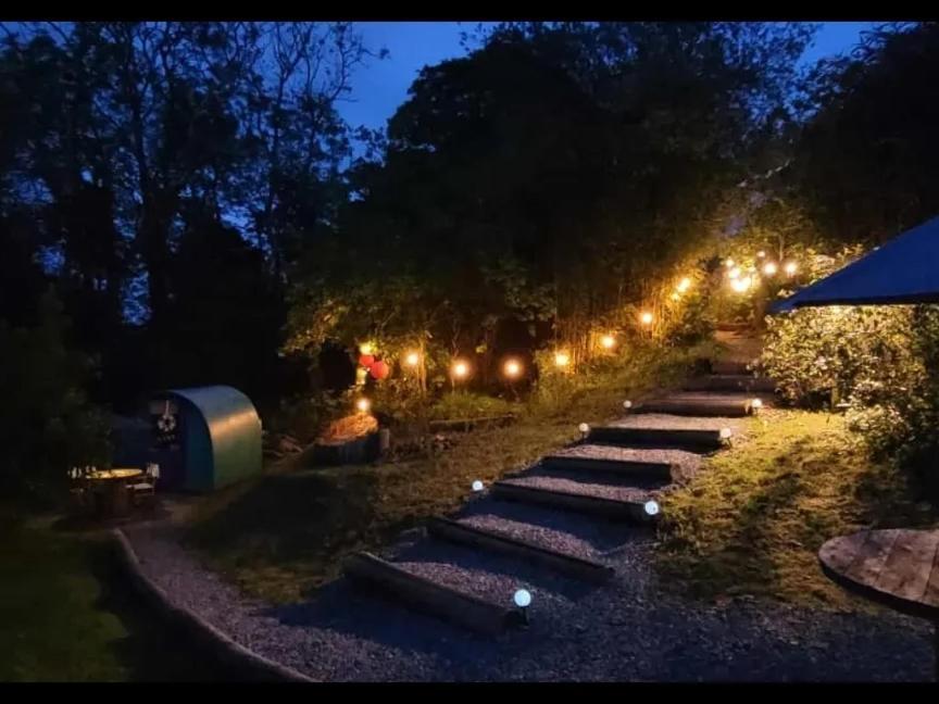 Gower Pods *